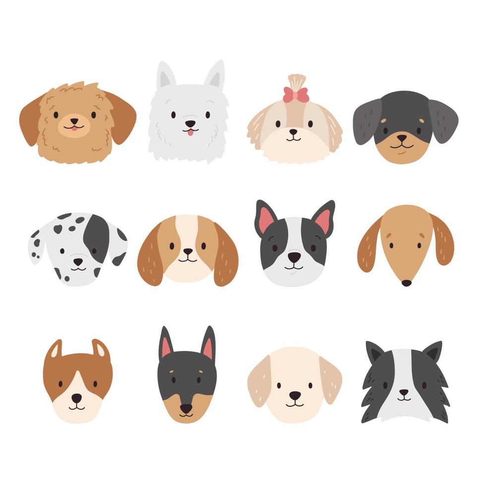 ensemble de têtes de chiens. collection de visages de chiot. dessin animé différentes races de chiens. animaux de compagnie de griffonnage. style plat tendance. illustration vectorielle. vecteur