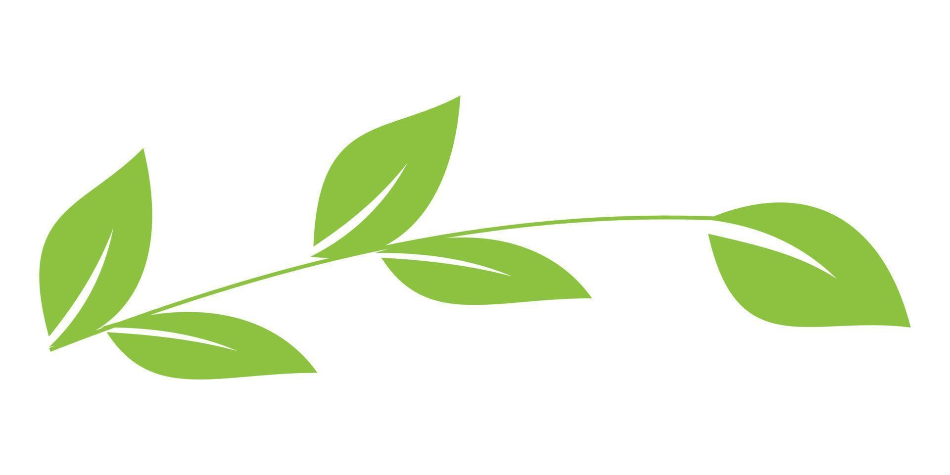 illustration d'une tige de plante avec cinq feuilles vertes. symbole naturel et beau de la nature. vecteur modifiable au format eps10