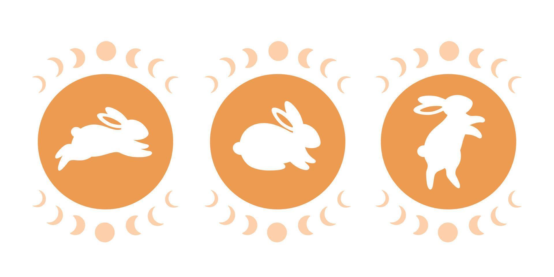 lapin mignon avec astrologie et éléments ésotériques. lapin magicien. année du lapin 2023 vecteur