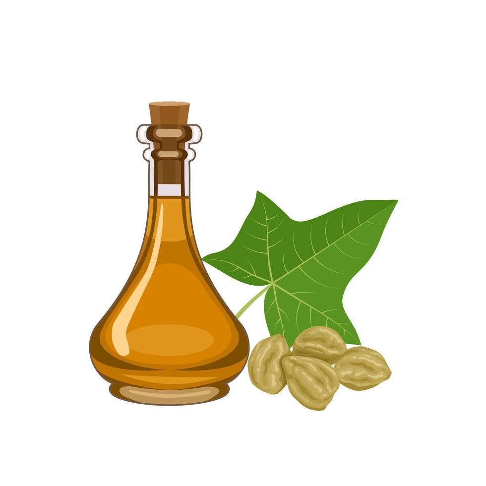 illustration vectorielle, huile de noix de kukui dans une bouteille, avec noix de kukui et feuilles vertes, isolées sur fond blanc. vecteur