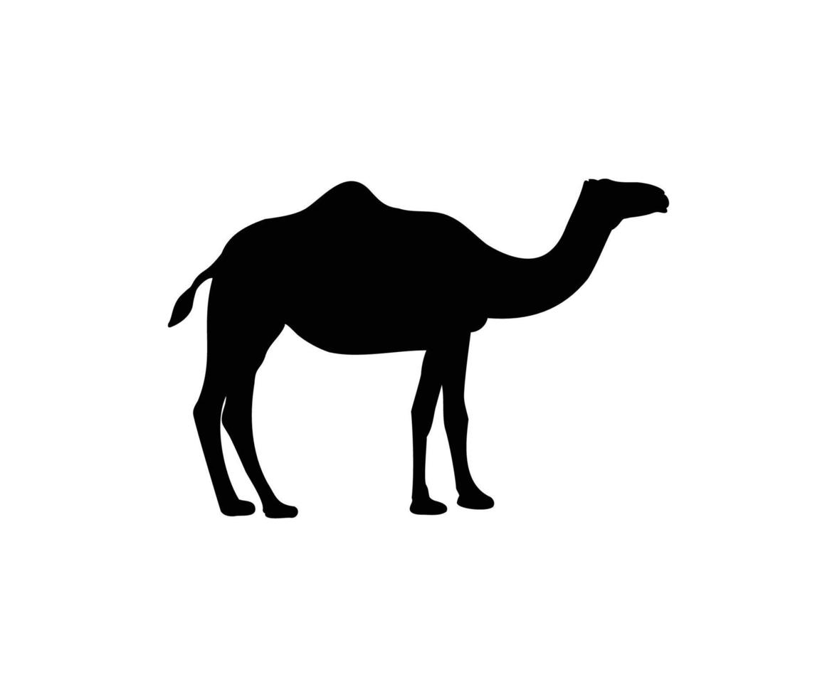 icône de vecteur de silhouette de chameau. icône graphique simple de chameau. signe arabe noir isolé sur fond blanc. chameau symbole du désert.