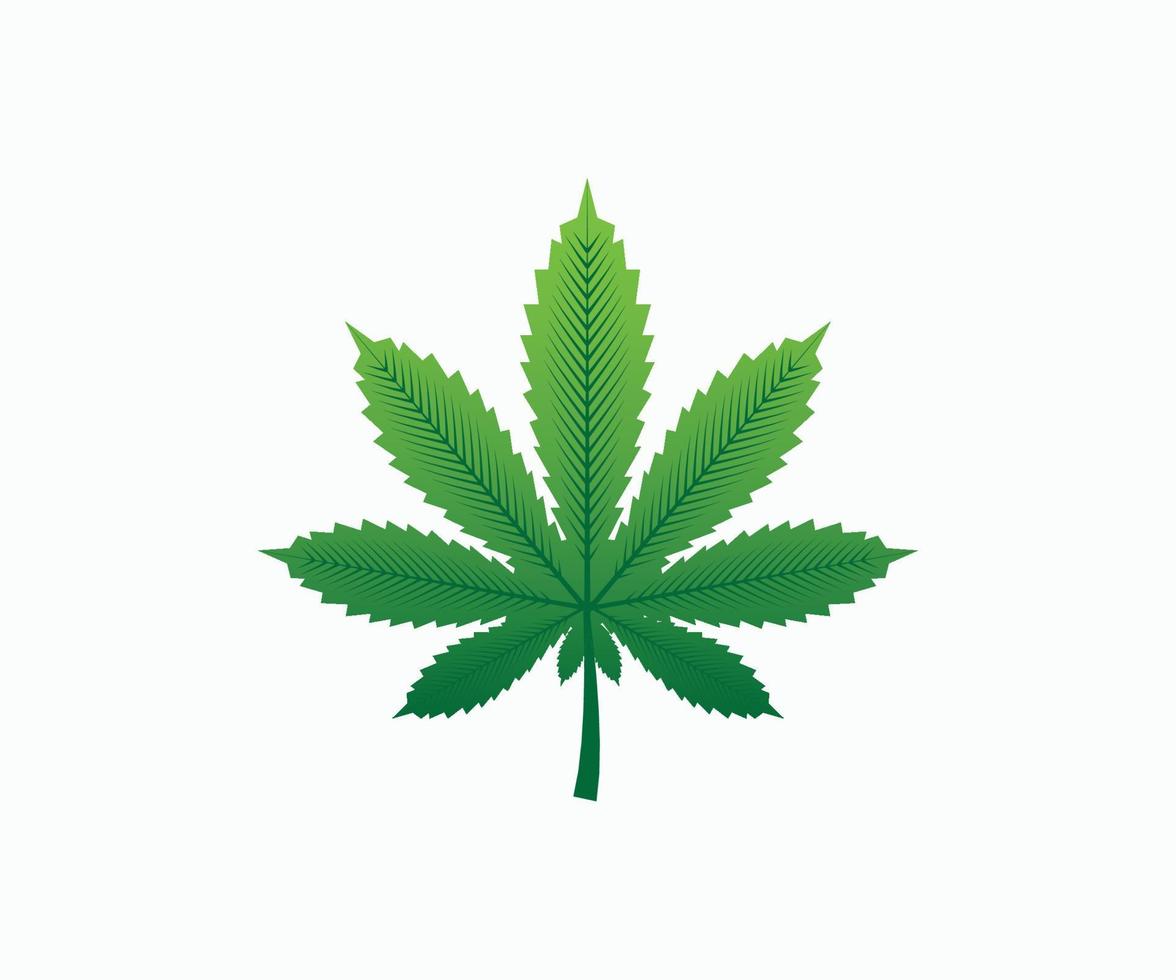 feuille de marijuana ou de cannabis icône colorée logo modèle image vectorielle vecteur