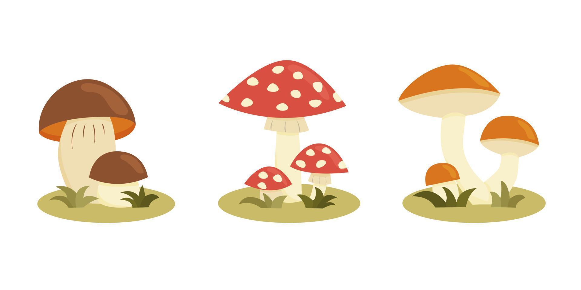 un ensemble de champignons dans un style cartoon. illustration vectorielle, isolée sur fond blanc. vecteur