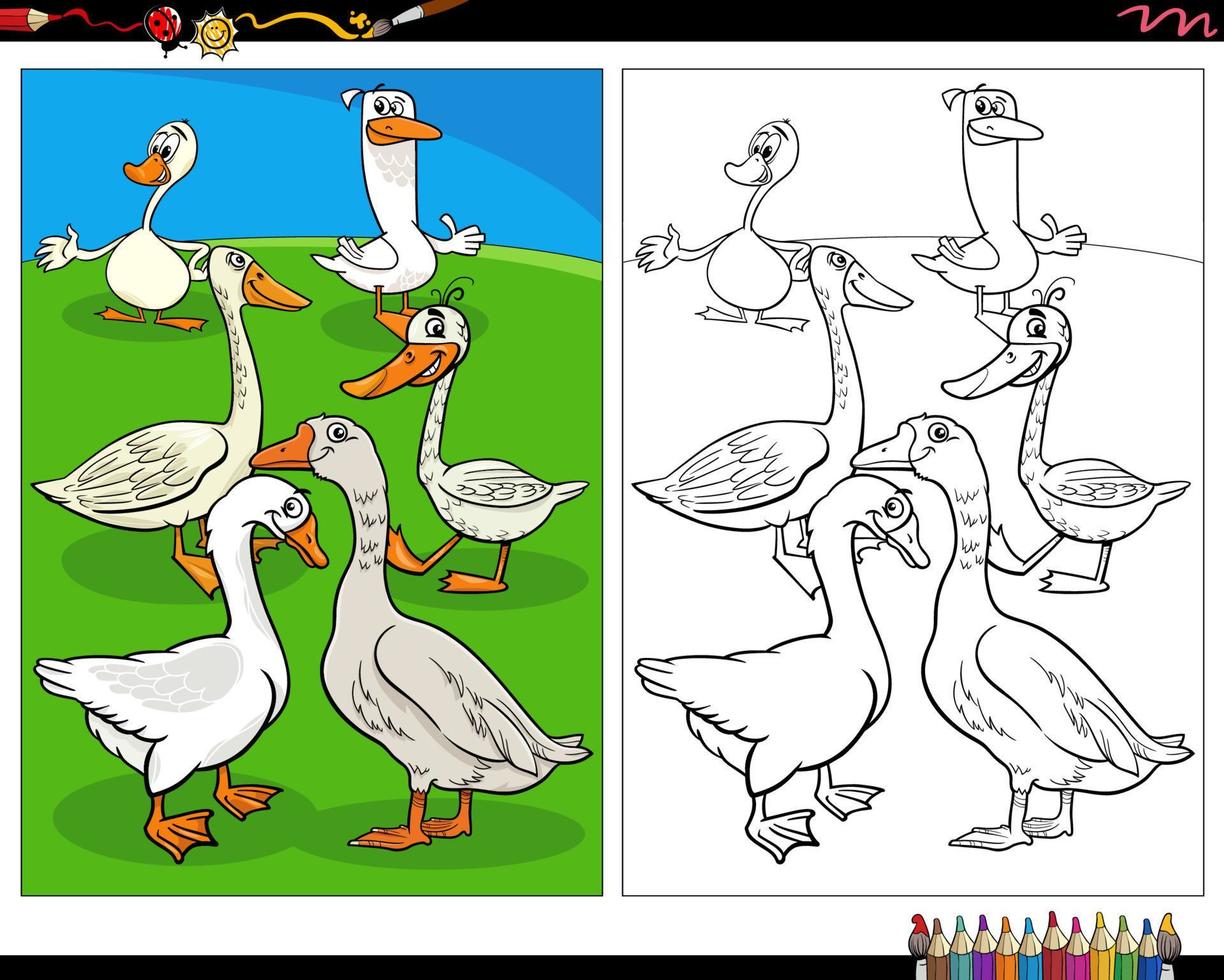 dessin animé oies oiseaux ferme animaux personnages coloriage vecteur