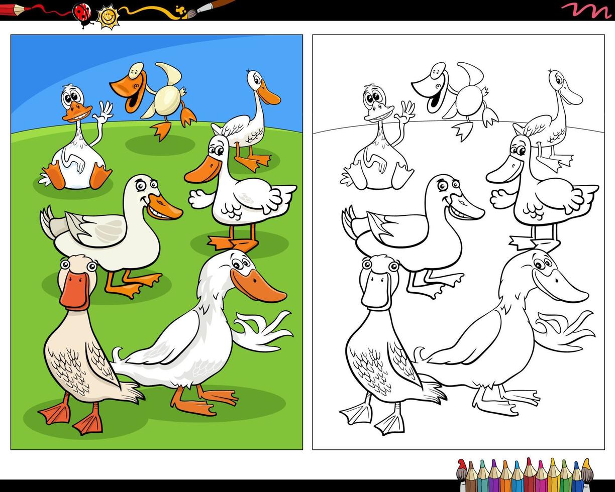 dessin animé canards oiseaux ferme animaux personnages coloriage vecteur