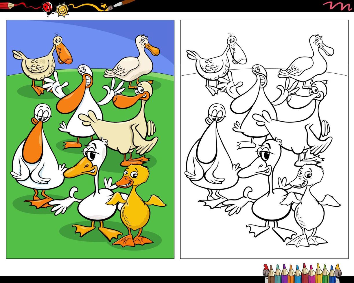 dessin animé canards oiseaux ferme animaux personnages coloriage vecteur