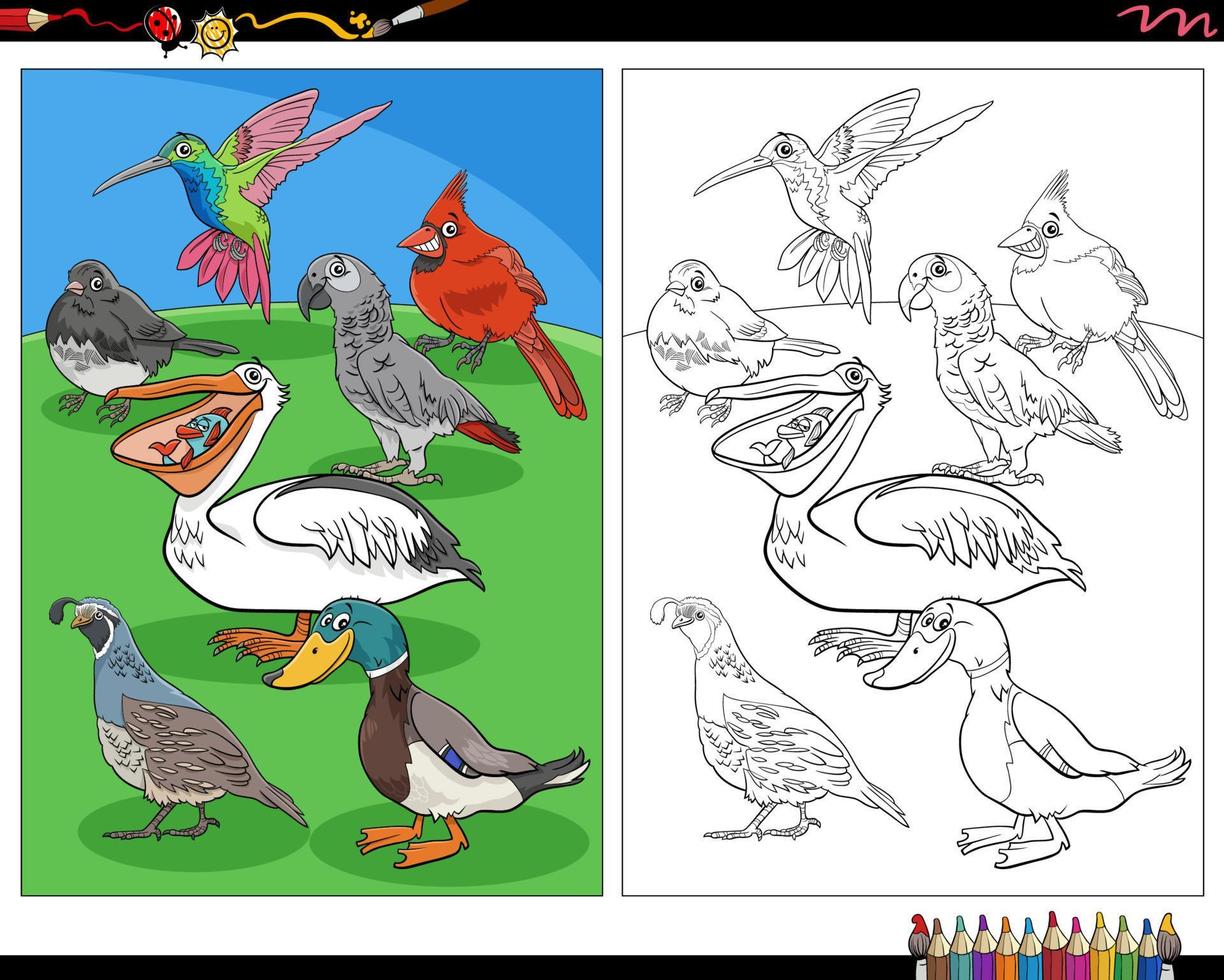 dessin animé oiseaux personnages animaux coloriage vecteur