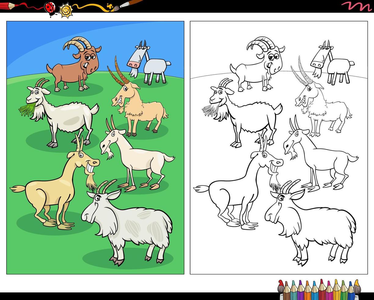 coloriage de personnages d'animaux de ferme de chèvres de dessin animé vecteur