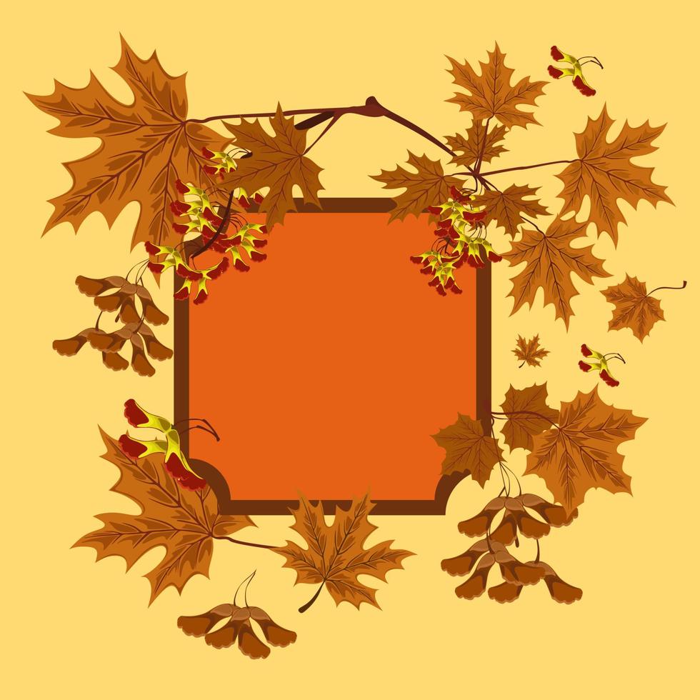 branche, graines et feuilles d'érable. ensemble de feuilles d'érable d'automne. concept de cadre d'automne ou d'arrière-plan avec des feuilles d'érable. vecteur