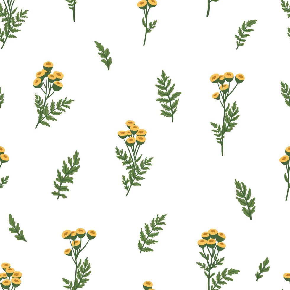 motif de fleurs de tanaisie sauvage. texture du tanacetum vulgare. plante médicinale herbacée à fleurs, herbes et fleurs jaunes. fond de vecteur plat