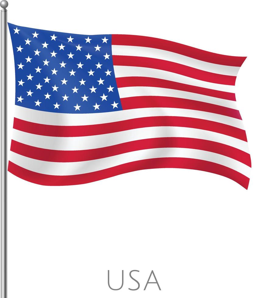 drapeau de mouche américain abstrait avec design de fond vectoriel