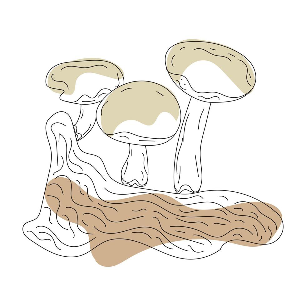 dessin au trait de champignons. dessin à la main d'automne, de forêt et de récolte. illustration de conception de dessin graphique moderne à une ligne vecteur