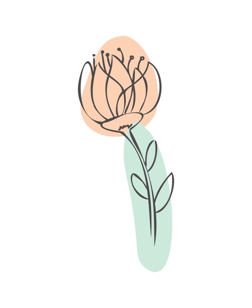 fleur de vecteur abstrait dessiné dans un style doodle.
