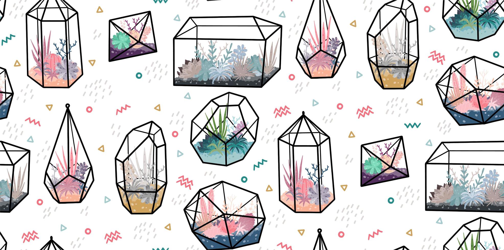 terrariums géométriques avec des plantes vecteur