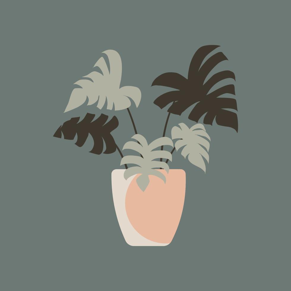 plantes décoratives beauté jardin illustration vecteur