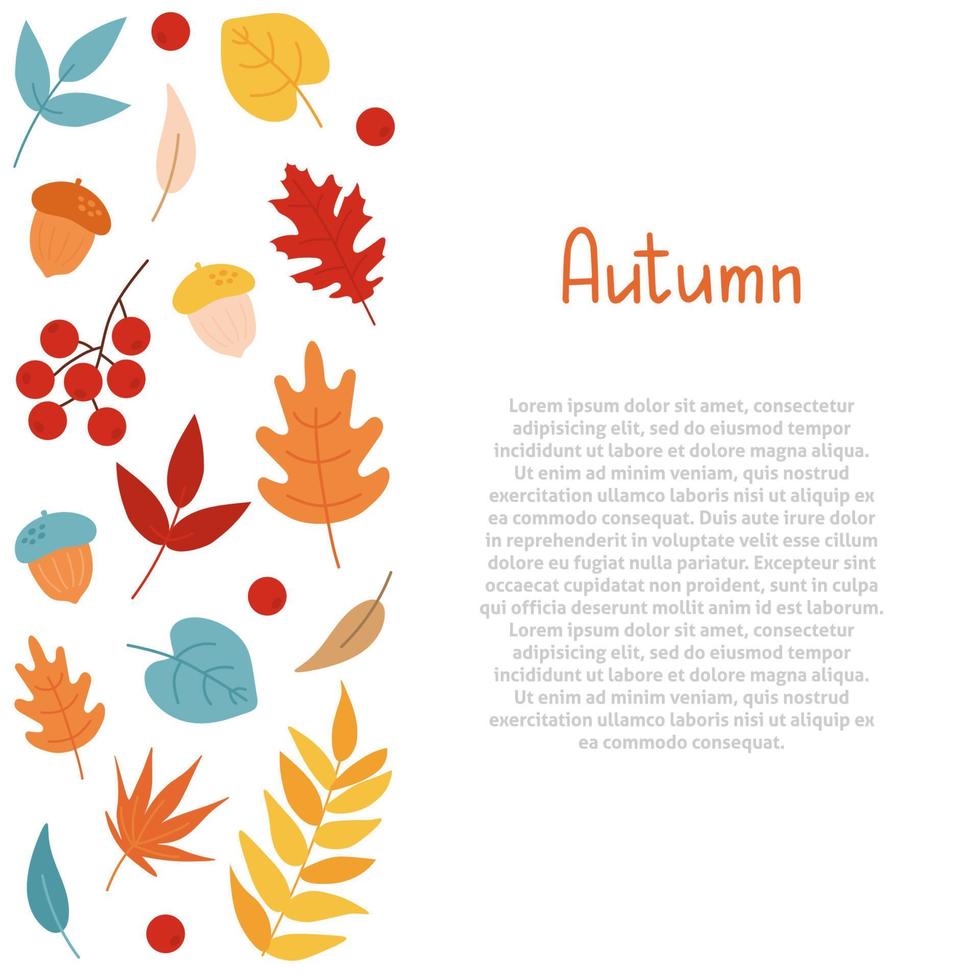 fond d'automne avec des feuilles, des glands et des baies de rowan. style plat de dessin animé simple. conception de bordure vecteur