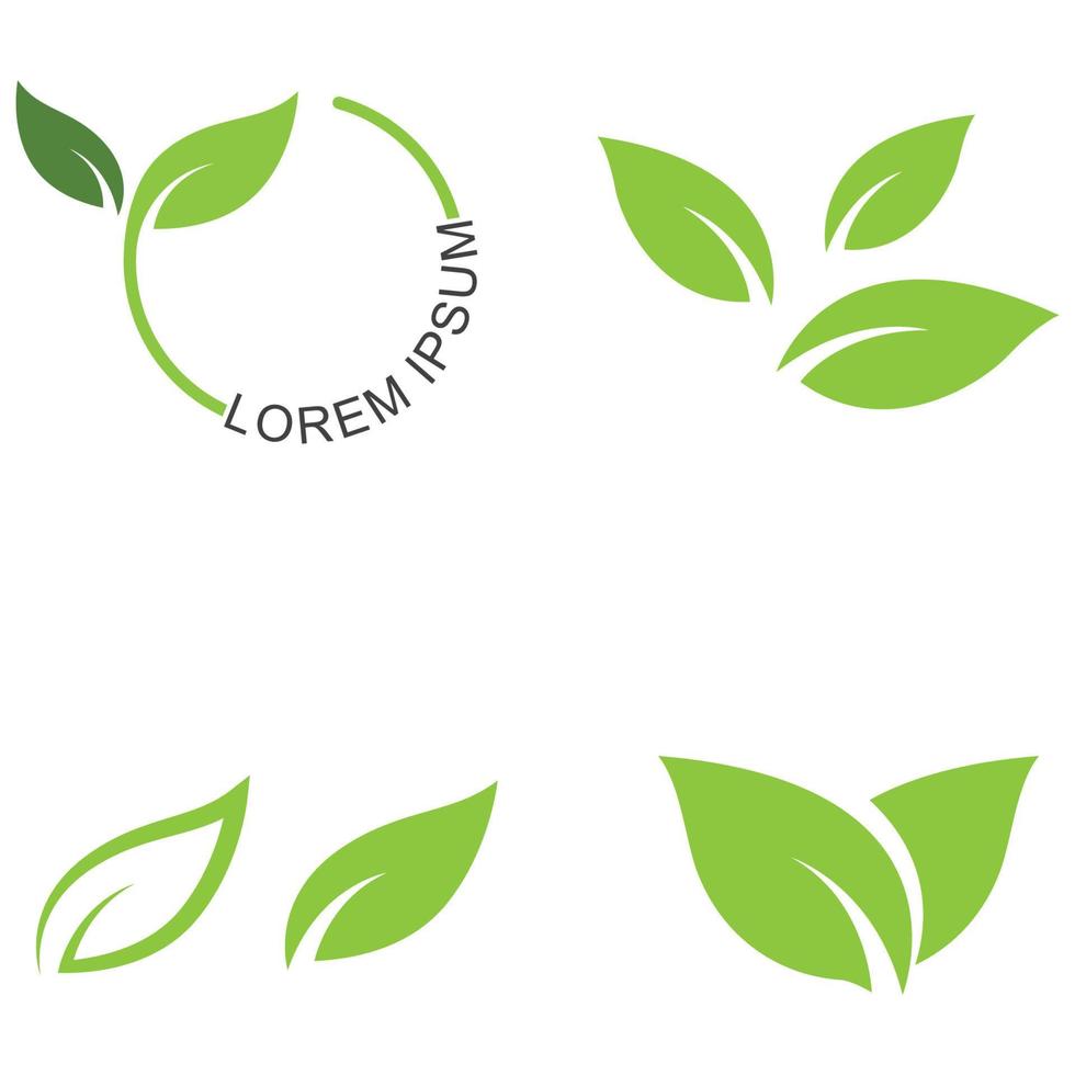 logo feuille verte. jardin, plantes et conception vectorielle de la nature. modèle de vecteur d'illustration de concept