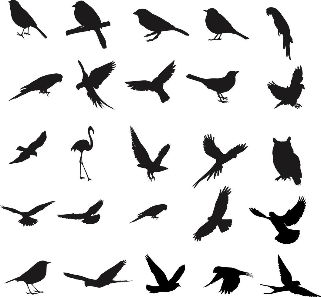 ensemble d'oiseaux silhouette ensemble vecteur - collection d'oiseaux volants