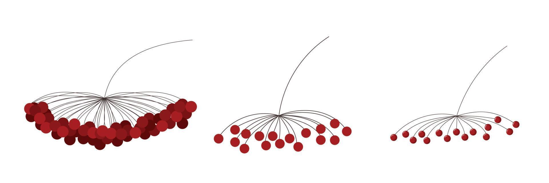 ensemble de brindilles avec des baies de viorne et des feuilles jaunes isolées sur fond blanc. illustration vectorielle dessinée à la main dans un style plat de dessin animé. parfait pour votre projet, cartes, logo, décorations. vecteur