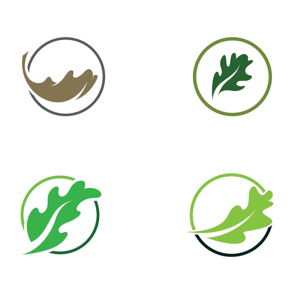 logo de feuille de chêne d'automne et logo de chêne. avec une édition facile et simple de l'illustration vectorielle. vecteur