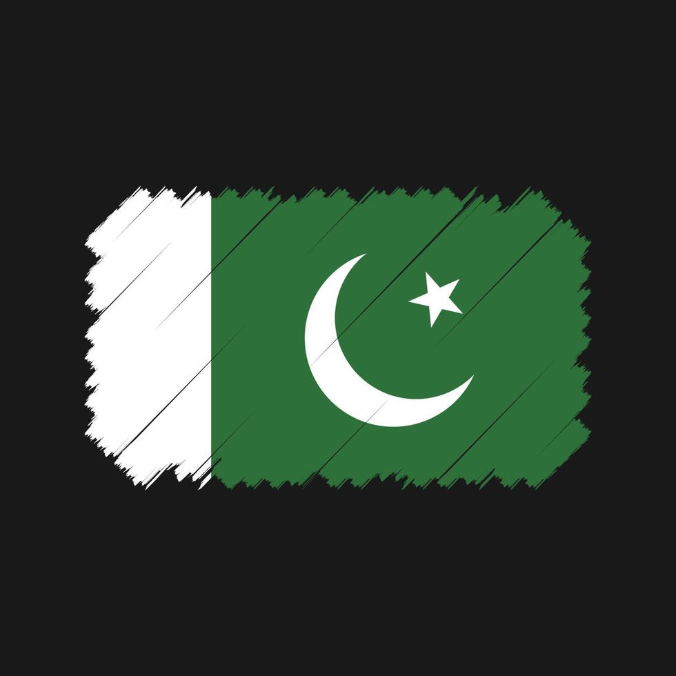 vecteur de brosse drapeau pakistan. drapeau national