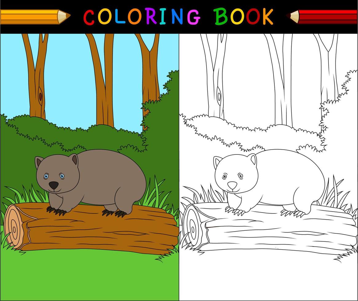 livre de coloriage wombat dessin animé vecteur