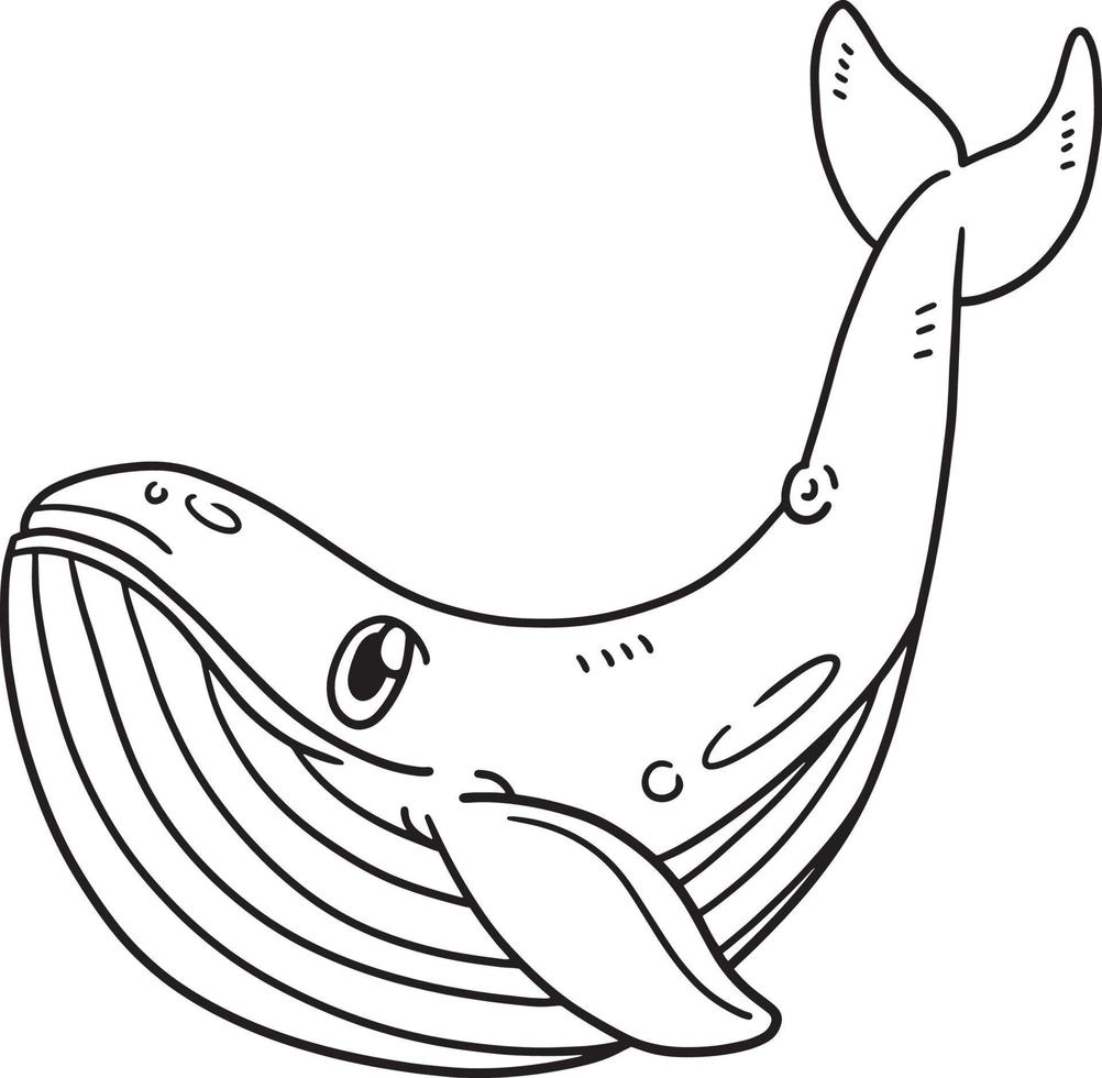 Coloriage baleine bleue isolé pour les enfants vecteur