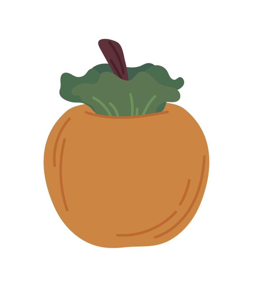 icône d'abricot tropical vecteur
