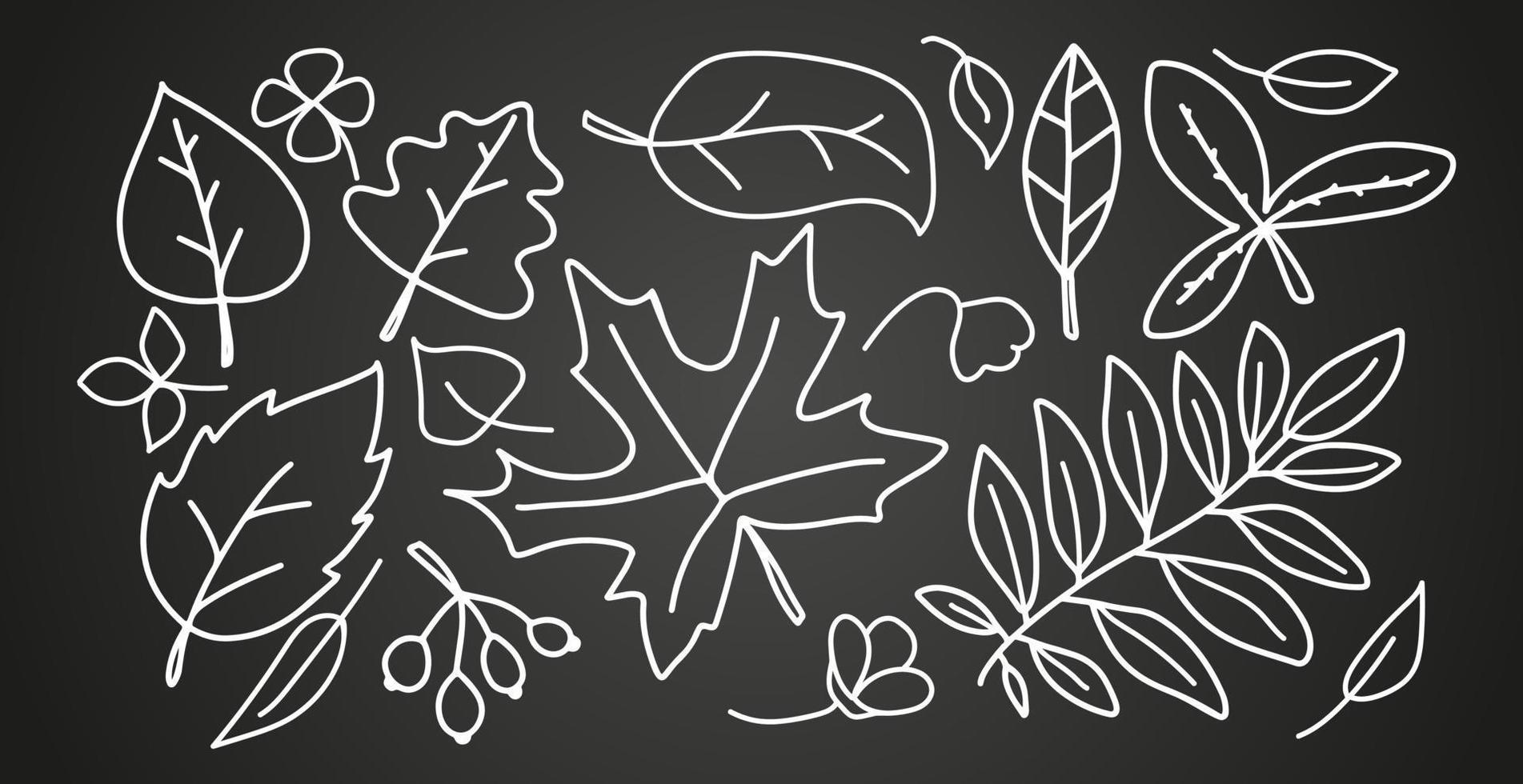 ensemble de feuilles linéaires d'automne. isolé sur illustration vectorielle fond noir. éléments de feuillage des arbres pour les conceptions de cartes de voeux saisonnières. vecteur