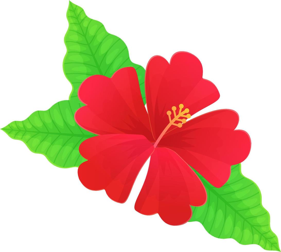 fleur d'hibiscus rouge vif. floraison tropicale hawaïenne. illustration vectorielle stock isolée sur blanc dans un style de dessin animé plat. vecteur