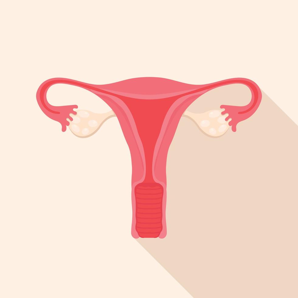une icône de style plat du système reproducteur féminin. utérus avec ovaires, gynécologie. vecteur