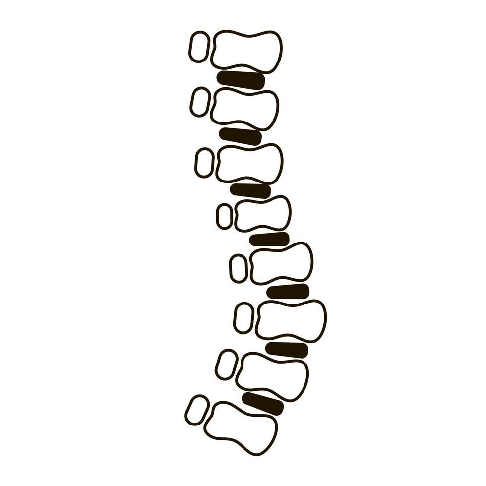 icône de diagnostic de la colonne vertébrale pour la spécialité médicale dans le style de contour isolé sur fond blanc, soins de santé médicaux vecteur