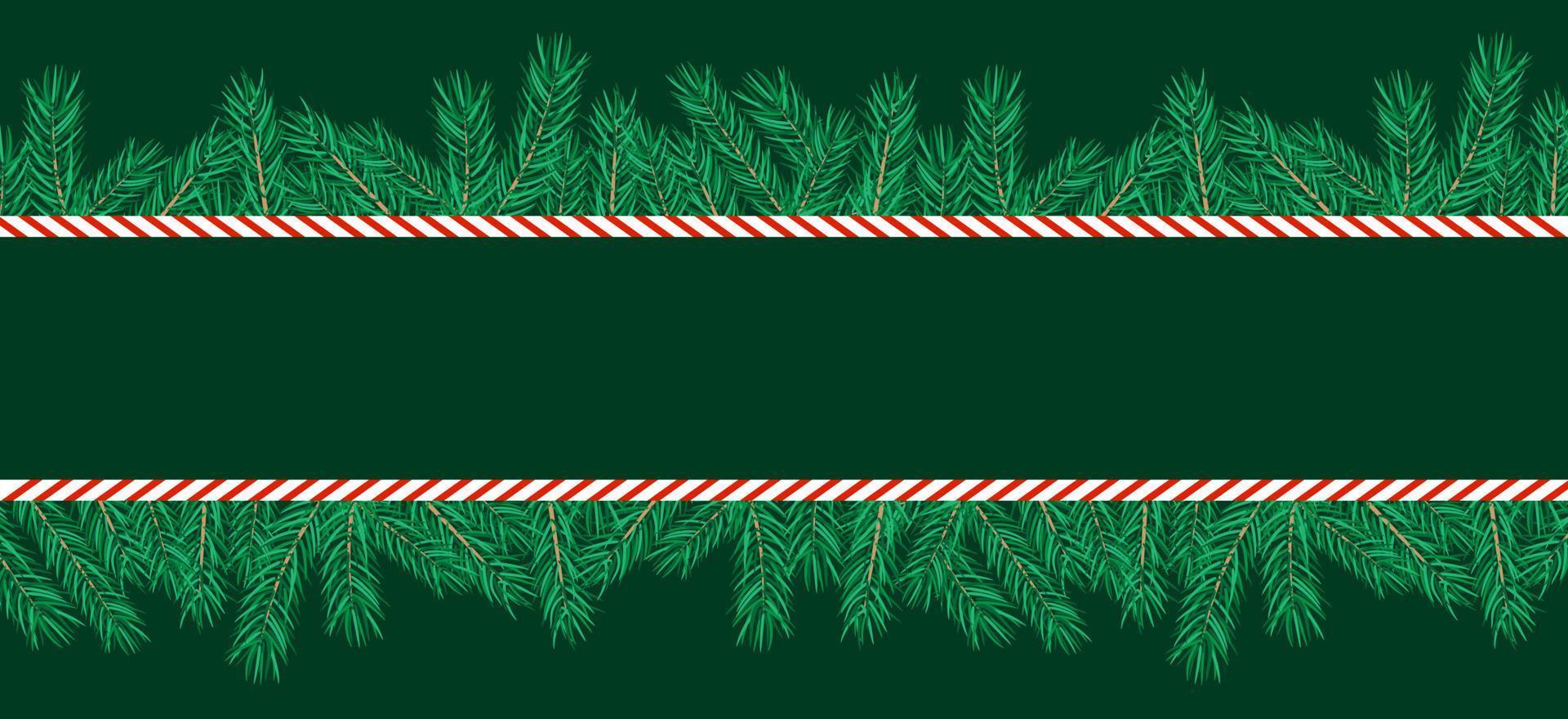 bordure faite de branches d'arbres de noël et de canne en bonbon. bannière horizontale et vide. illustration vectorielle. vecteur