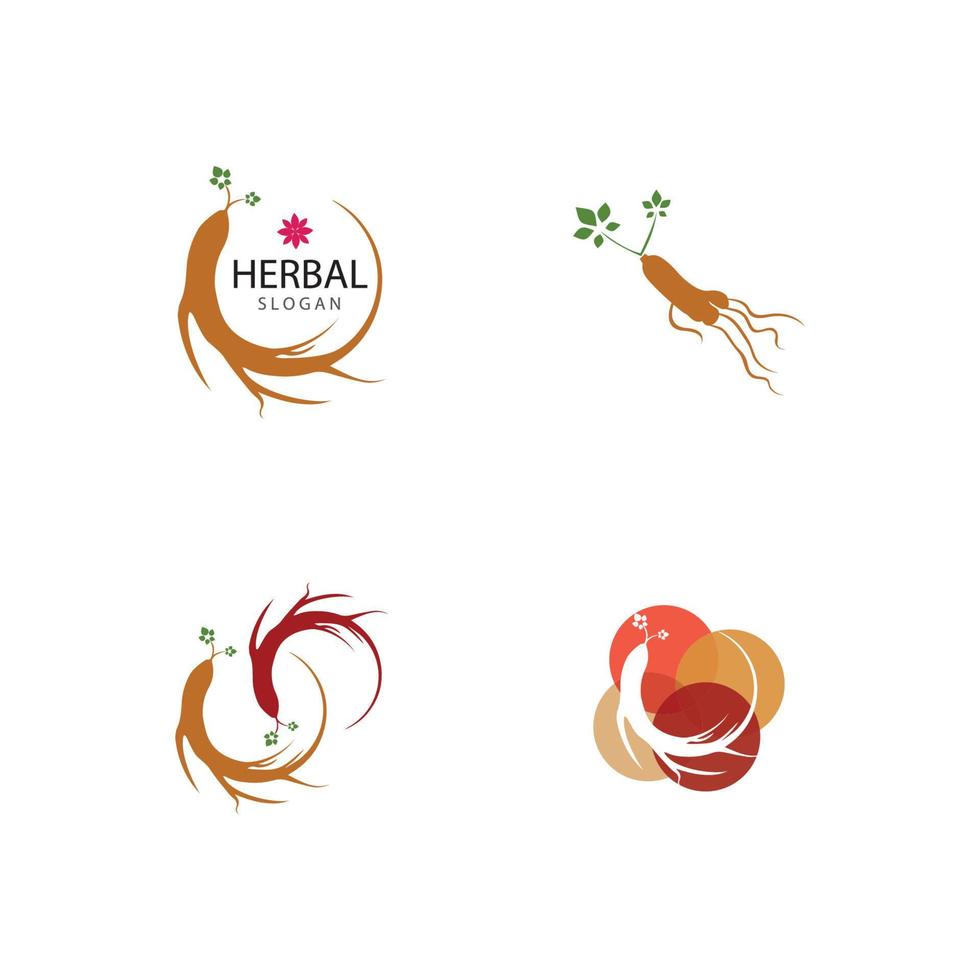 modèle de conception ginseng vector icon illustration