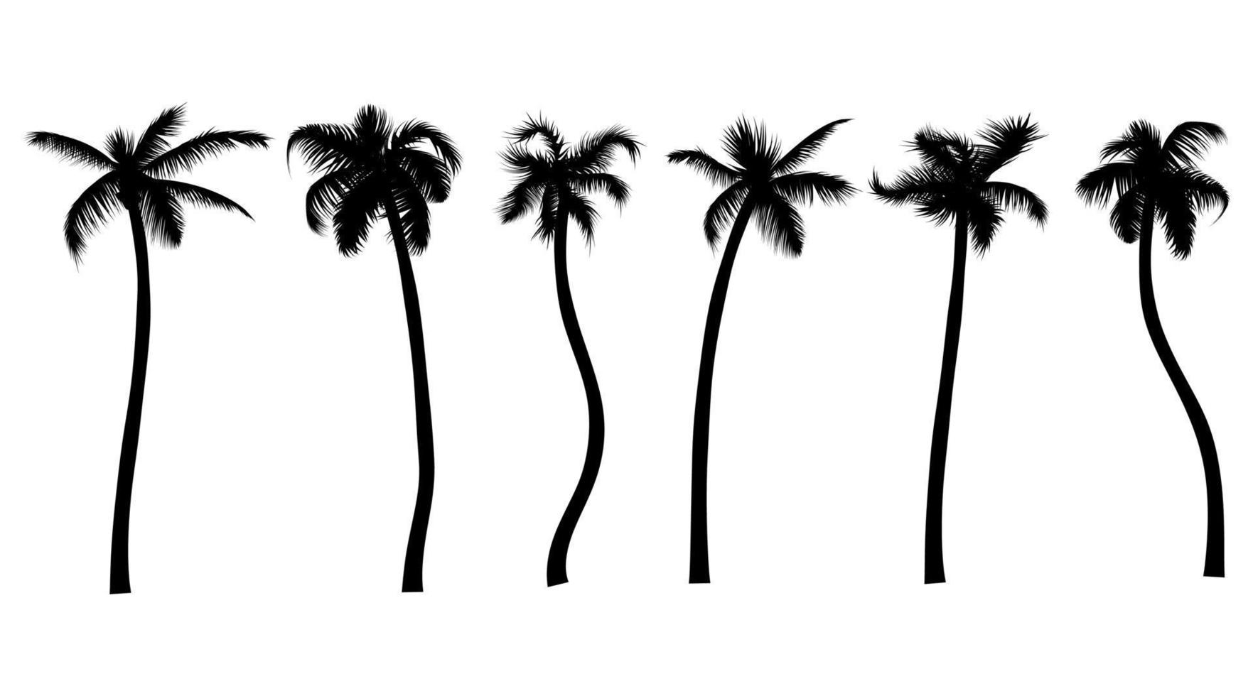 ensemble réaliste de silhouette noire de palmier. tropique feuilles jungle plantes collection illustration vectorielle. arbres tropicaux d'été isolés sur blanc. pour votre conception de flayer, affiche de fête, bannière de vacances. vecteur
