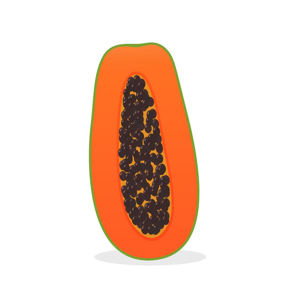 papaye mûre sur blanc vecteur