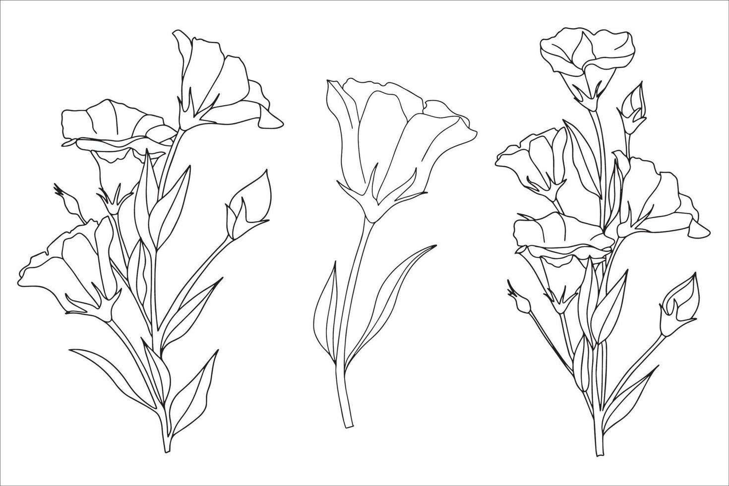 ensemble d'eustoma, lisianthus, fleurs de tulipe dans un style doodle, illustration pour livre de coloriage, pages à colorier.ai vecteur