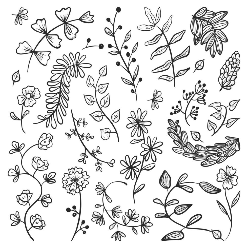 grand ensemble d'icônes vectorielles de doodle. collection d'éléments de conception, de branches et de brindilles avec des feuilles, des boutons floraux et des pétales. vecteur
