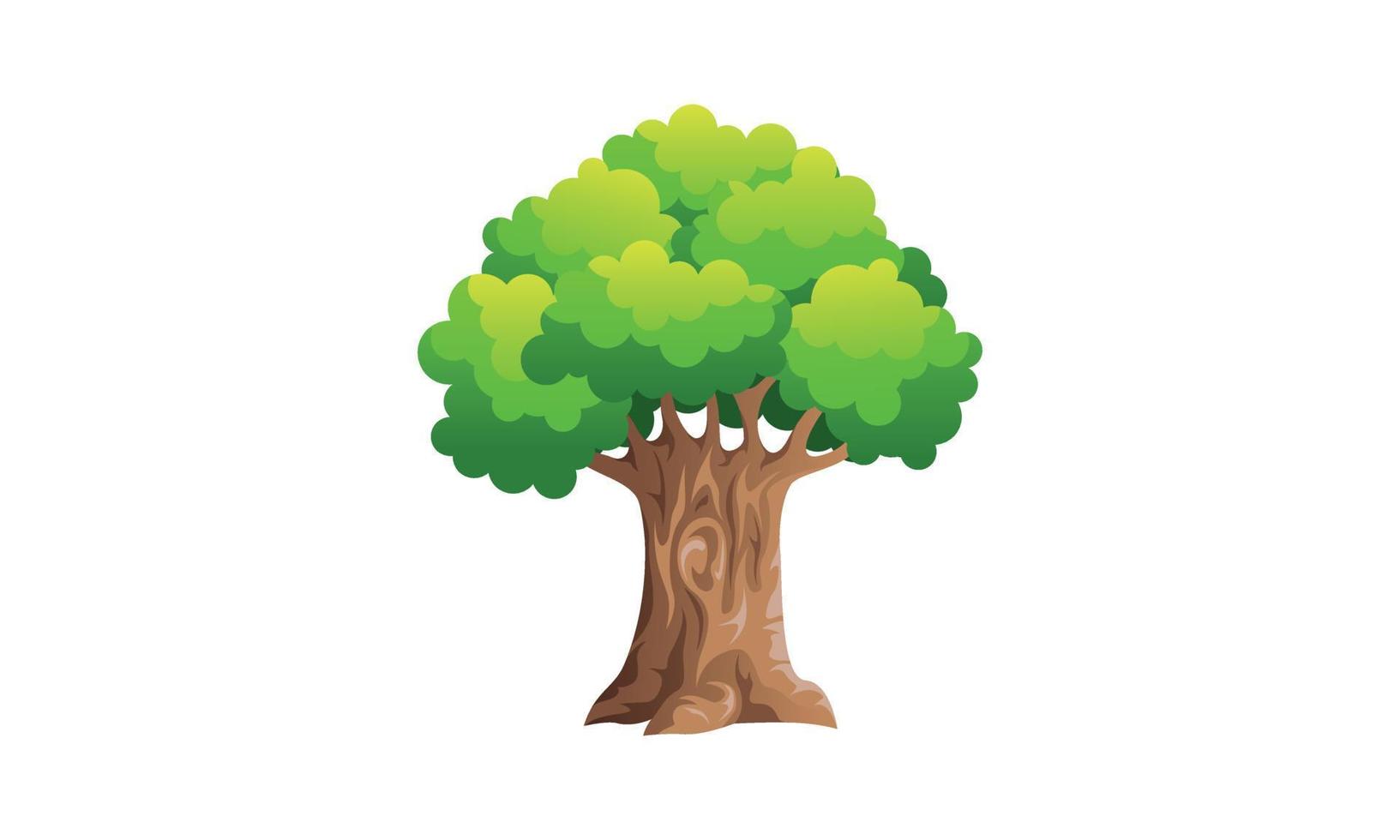 arbre vert à feuilles caduques avec des racines exposées illustration vectorielle isolée vecteur