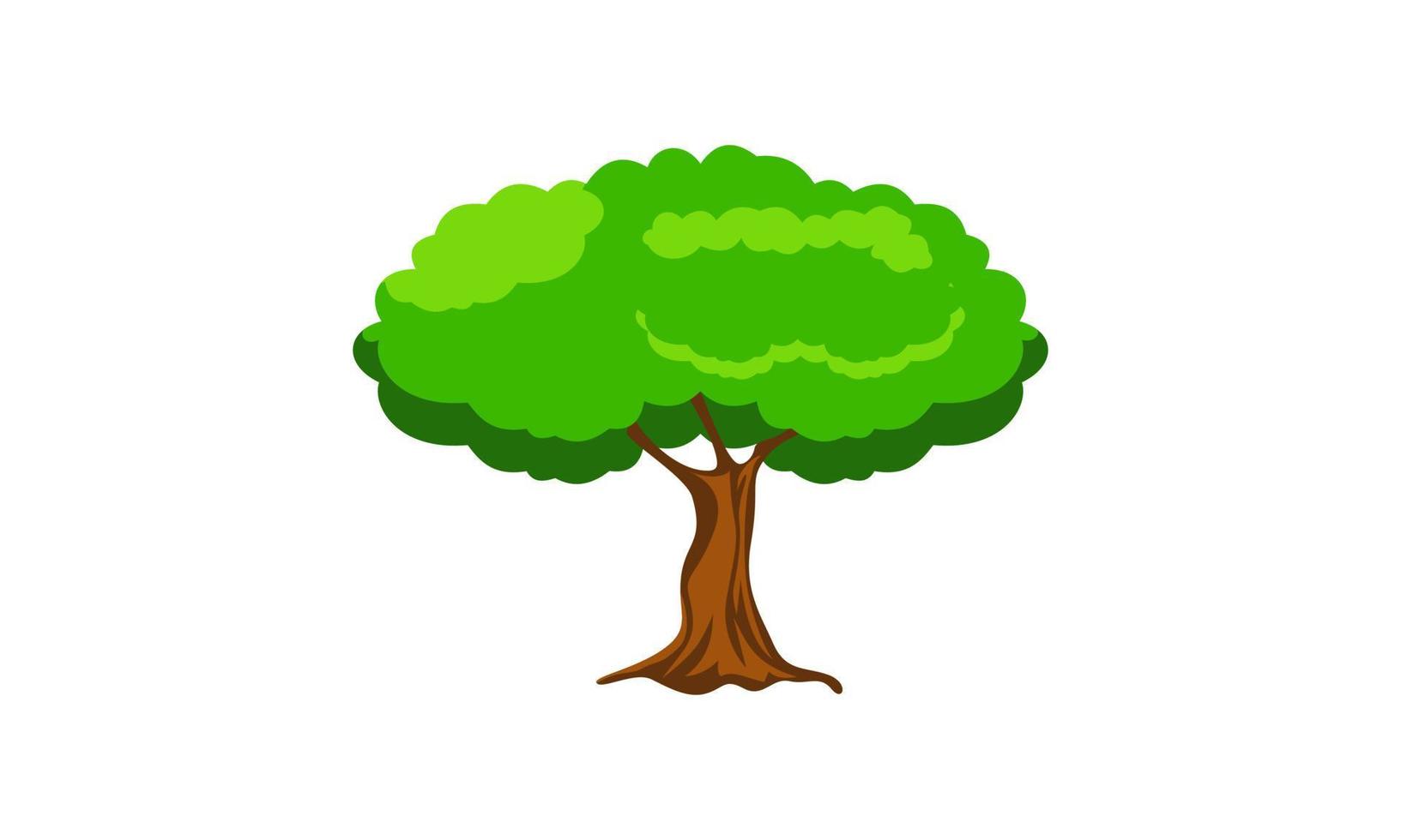arbre vert à feuilles caduques avec des racines exposées illustration vectorielle isolée vecteur