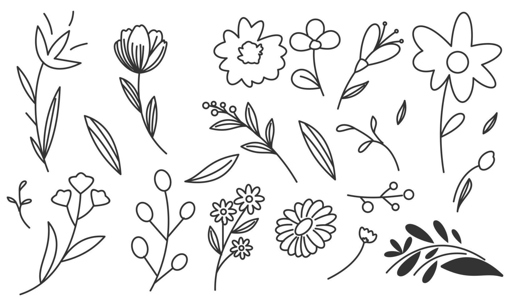 vecteur de doodle fleurs et branches dessinés à la main