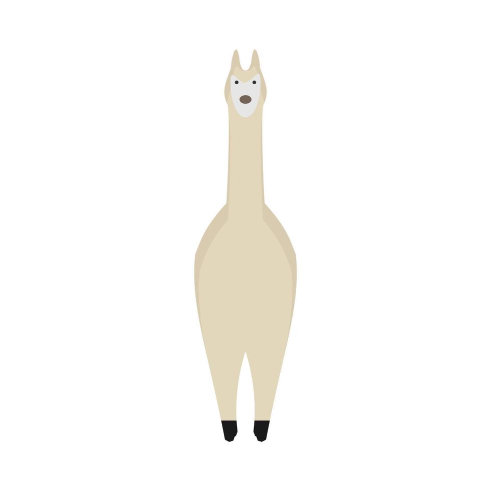 lama nature mammifère faune heureux animal de compagnie vecteur. mignon portrait brun zoo alpaga dessin animé vue de face vecteur