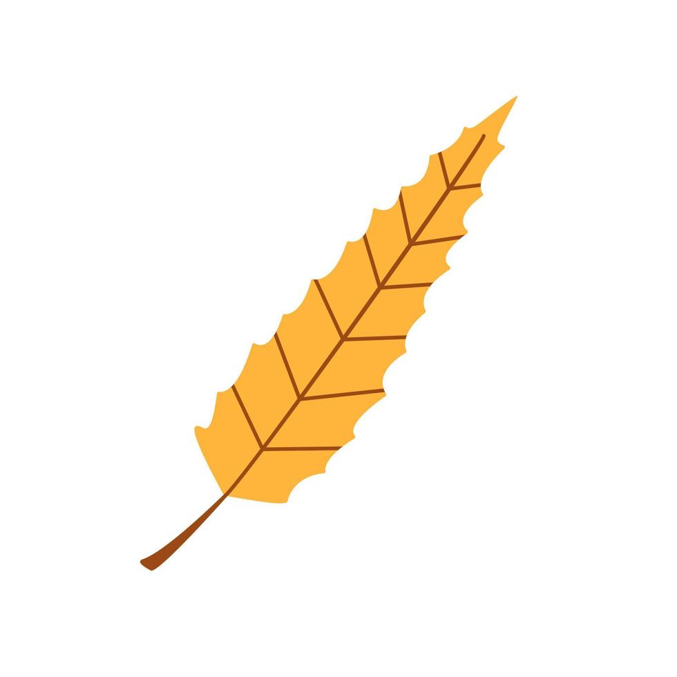 feuille d'or d'automne de vecteur. longue feuille jaune isolée sur blanc. élément d'automne mignon. vecteur