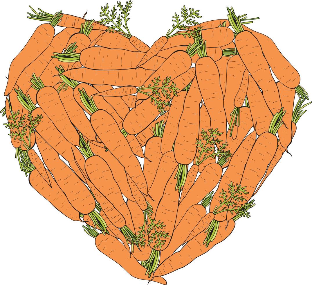 cœur composé de carottes colorées. carottes isolées sur fond blanc pour votre conception. alimentation saine et régime alimentaire. vecteur. vecteur