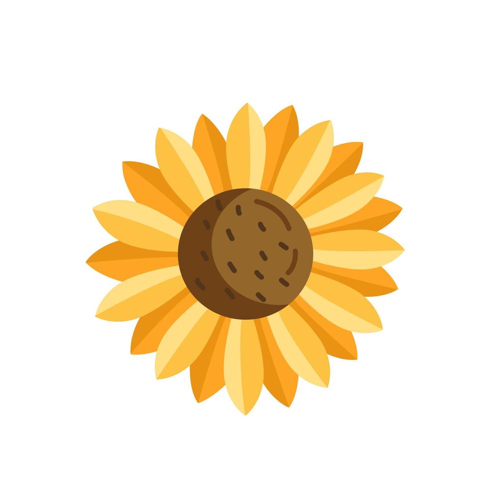 fleur de tournesol en style cartoon. illustration florale isolée de vecteur sur le fond.