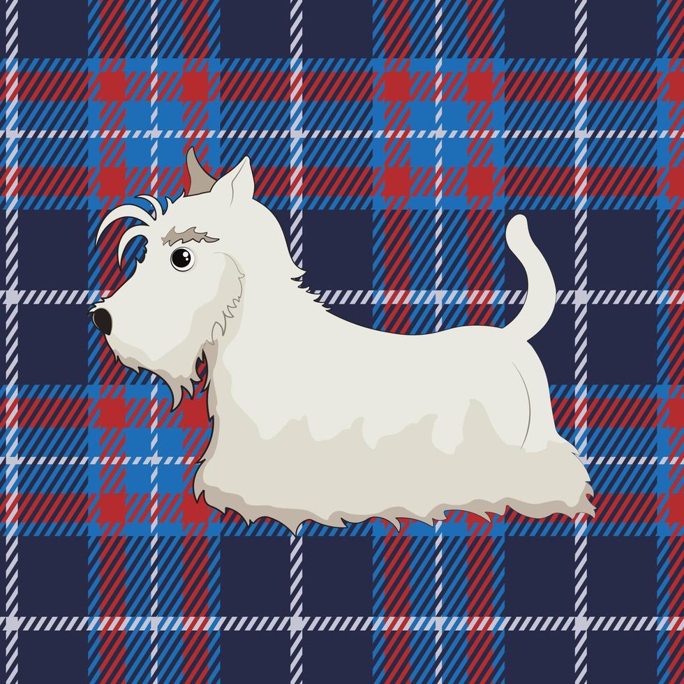 dessin animé terrier écossais blanc sur fond de tartan. terrier écossais blanc en style cartoon. illustration vectorielle vecteur