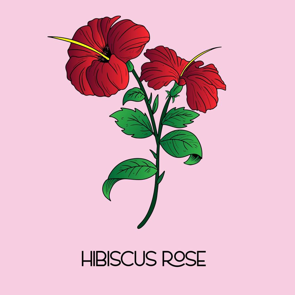 illustration de fleur d'hibiscus tropical. plante exotique décorative. modèles floraux avec des fleurs épanouies de jardin vecteur