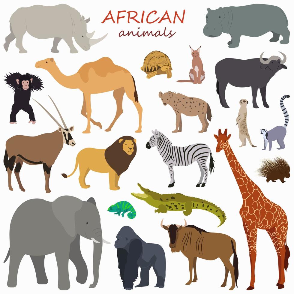 sertie d'animaux africains colorés dans un style minimalisme. animaux sauvages mignons. grand ensemble avec des animaux. illustration vectorielle vecteur