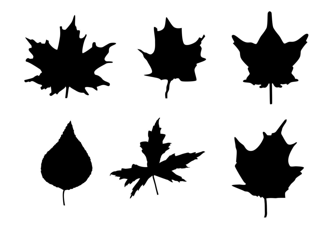 illustration vectorielle de formes de feuilles. feuilles d'érable et d'autres arbres. conception de silhouette de feuillage pour autocollant, pochoir, carnet de couleurs. vecteur