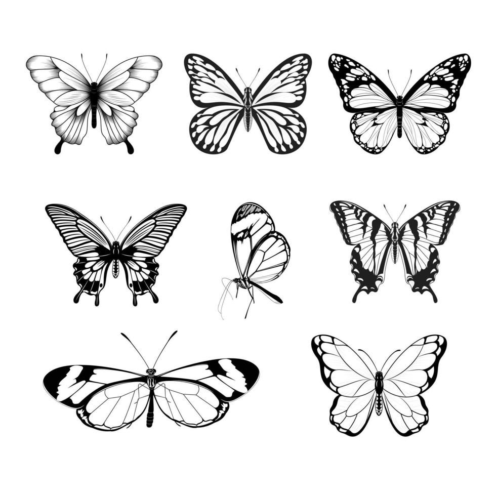 ensemble de papillons - collection de papillons noirs et blancs vecteur